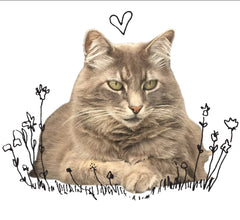 heavily stitched cat hearts in honor of jeff