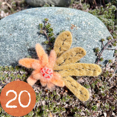 plant-dyed wool felt flower pins (new batch!)