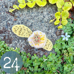 plant-dyed wool felt flower pins (new batch!)