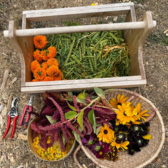 DIY plant-dyed wool felt flower kit