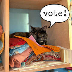 vote button - final batch (fundraiser!)