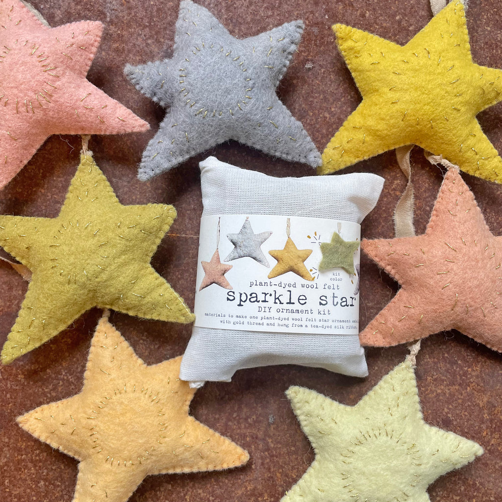 DIY sparkle star ornament kit