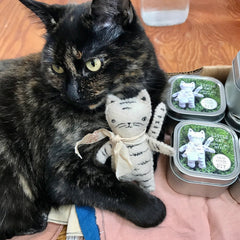 pocket pal: little cat (made)