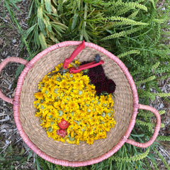 summer plant-dyed treasure box for the stitcher