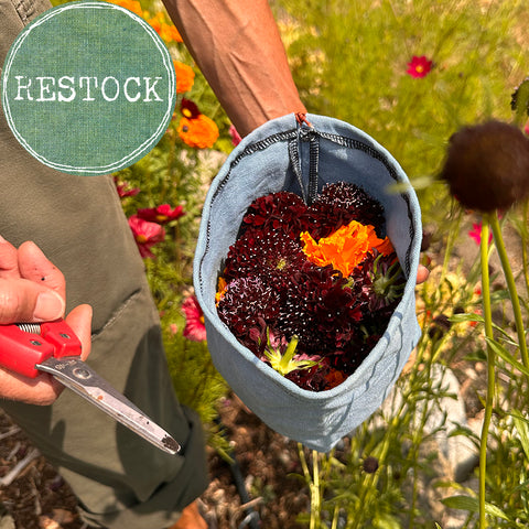 foraging buckets