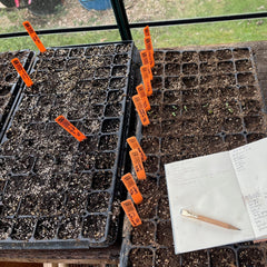 from the dye garden: botanical quilt treasure box