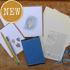 letter writing bundle