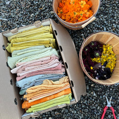 remnant bag: assortment of plant-dyed textiles