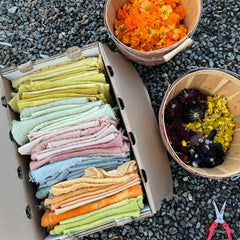 homegrown & home-dyed treasure box for the stitcher