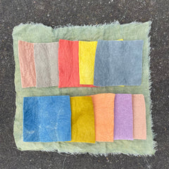 from the dye garden: botanical quilt treasure box