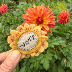 vote button (fundraiser!)