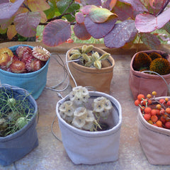 foraging buckets