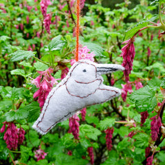 hummingbirds in flight