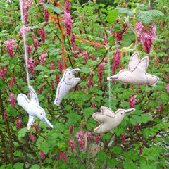hummingbirds in flight